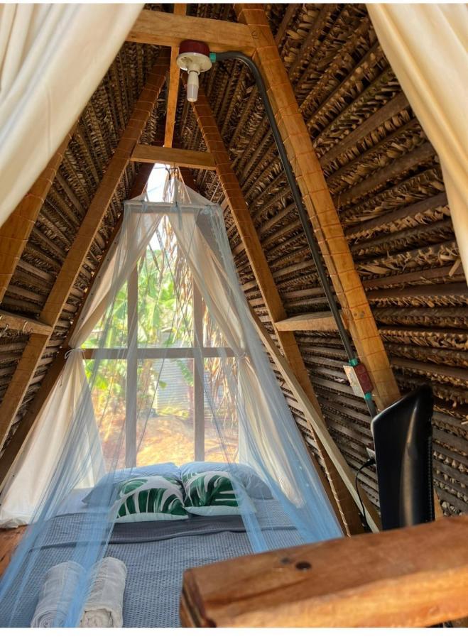 ホテル Sasy Tipis サンタ・カタリナ エクステリア 写真