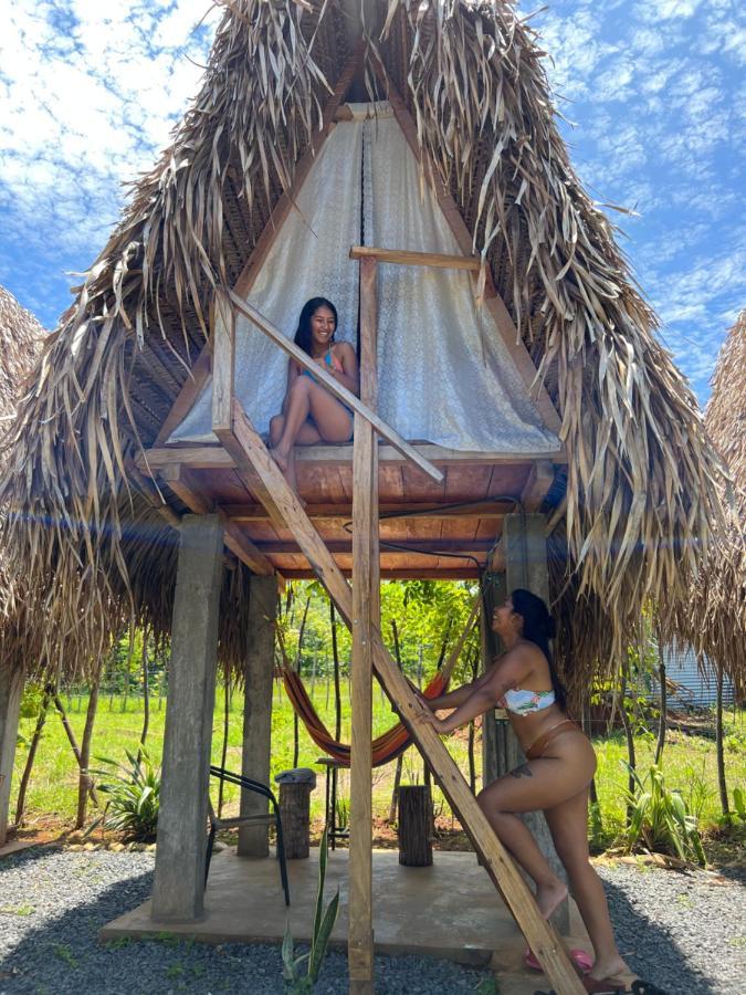 ホテル Sasy Tipis サンタ・カタリナ エクステリア 写真